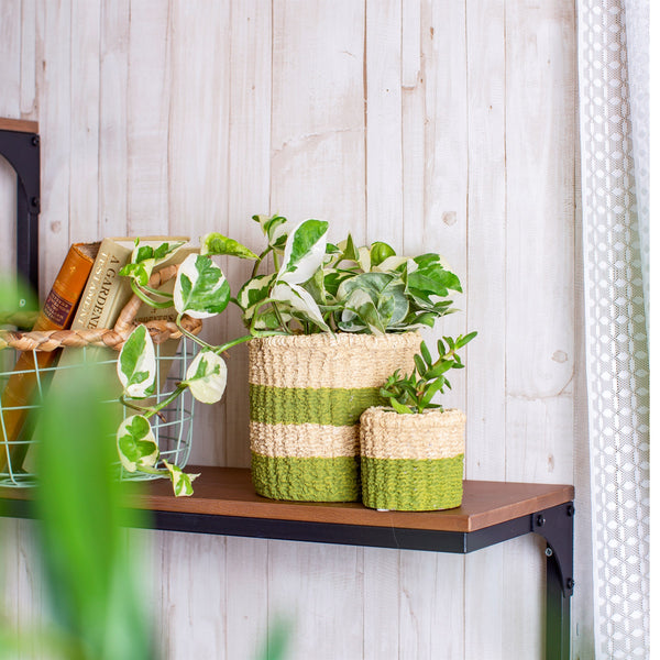 Mini Green Dip Cement Basket Planter