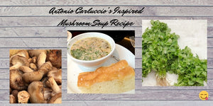 Antonio Carluccio Inspired Mushroom Soup Recipe