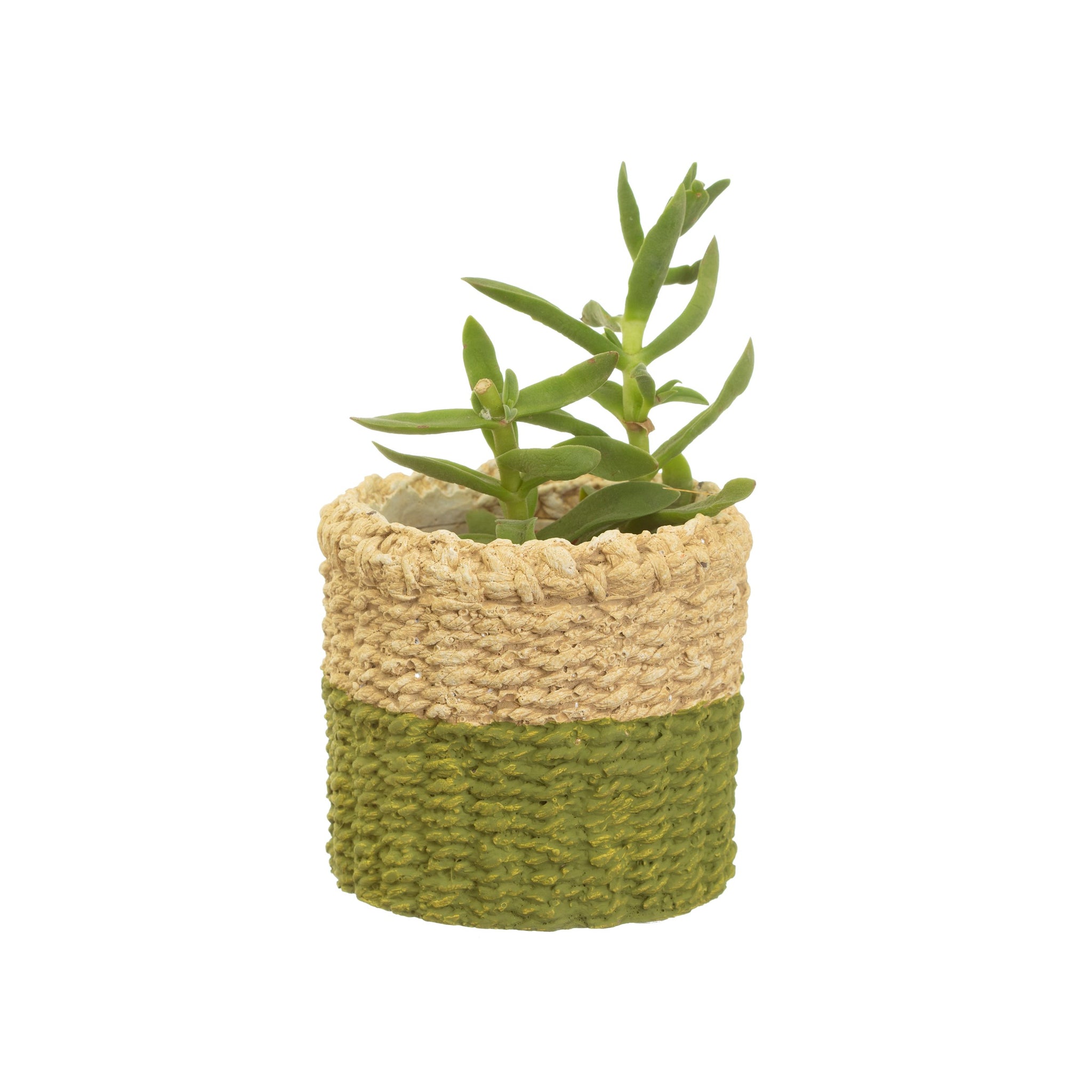 Mini Green Dip Cement Basket Planter